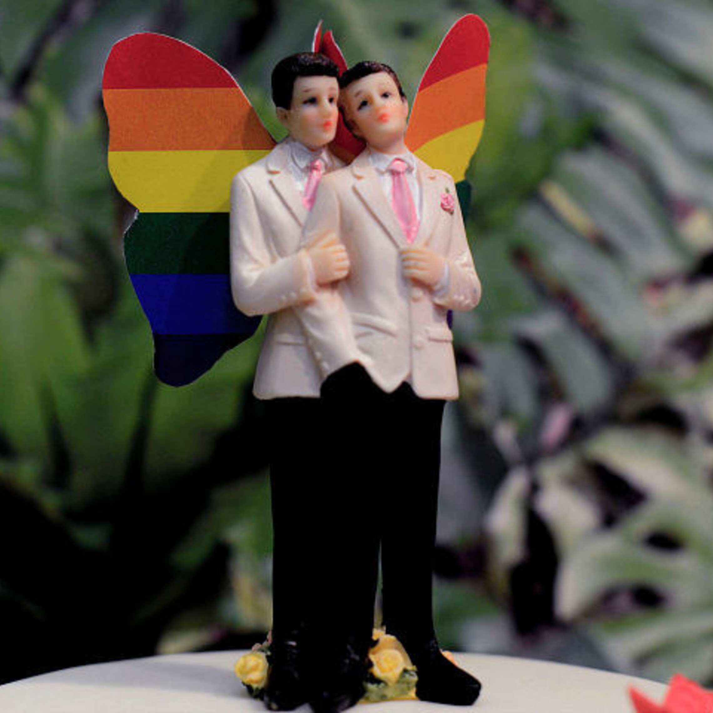 Homosexua Wedding Cake