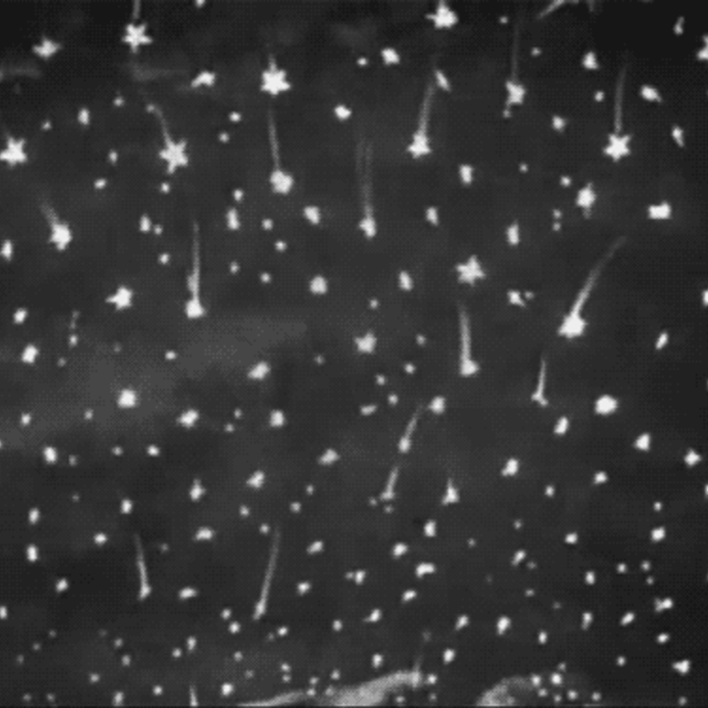 Stars Falling From The Sky