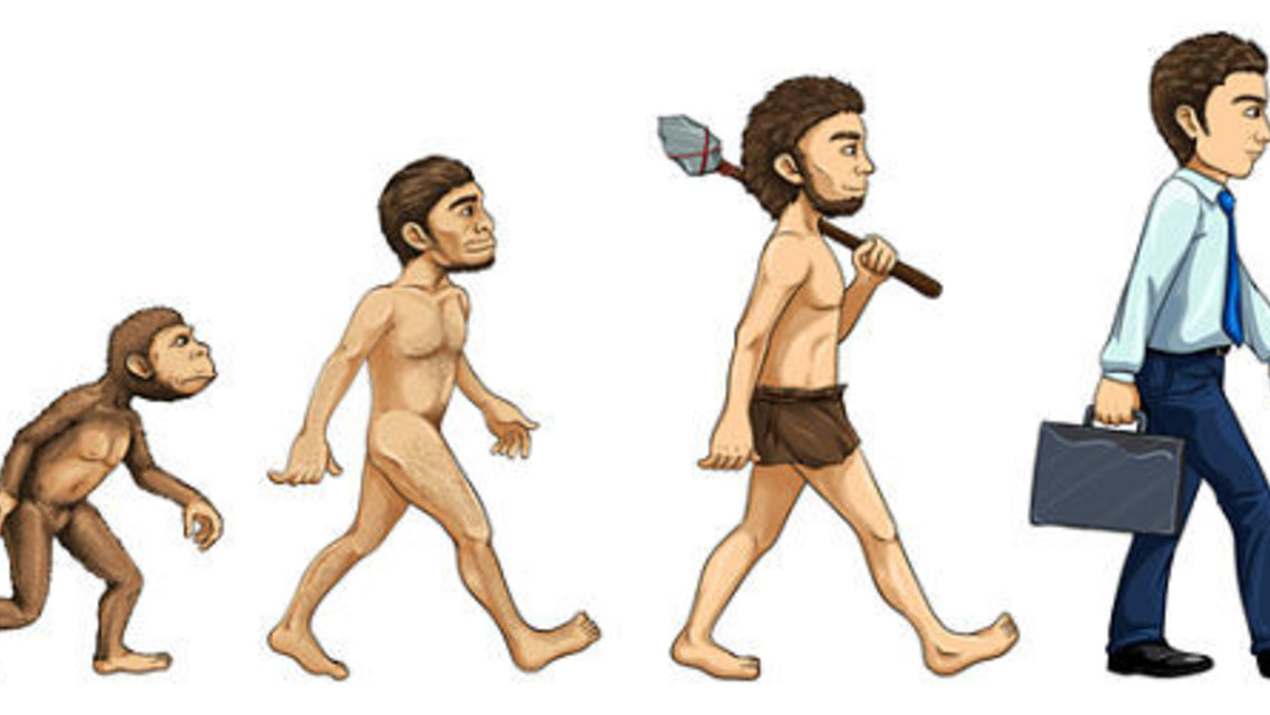 Evolution Cartoon Opt