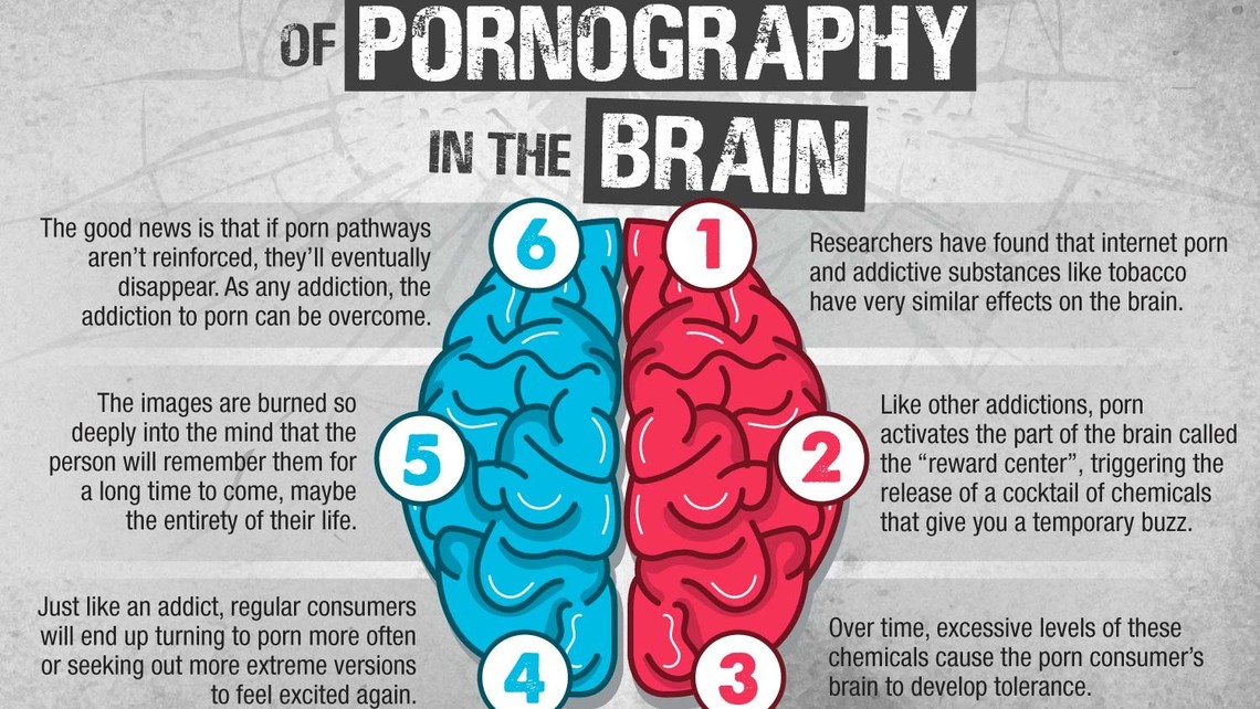 Infographic Effects Of Pornography In The Brain